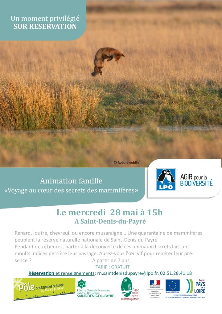 Animation famille «Voyage au cœur des secrets des mammifères»